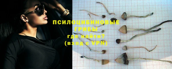 каннабис Алексеевка